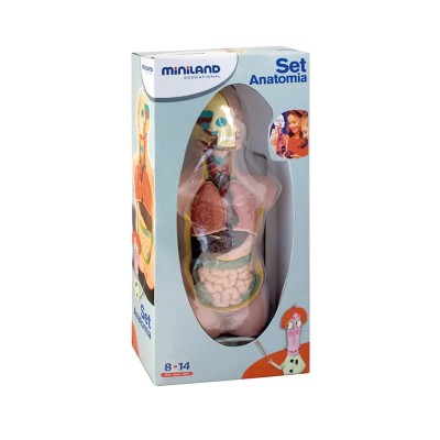 Анатомічний набір Torso (11 предметів) Miniland Educational